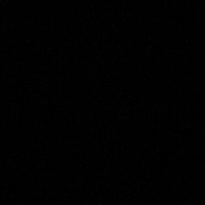 Meet your Posher, Priscilla